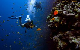 Scuba_diving_4